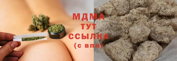 прущие грибы Балабаново