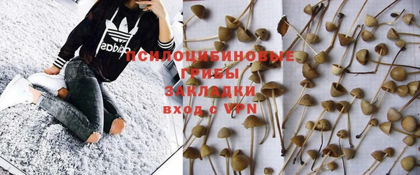 прущие грибы Балабаново