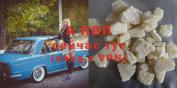 прущие грибы Балабаново