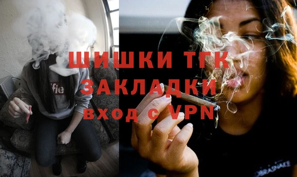 прущие грибы Балабаново