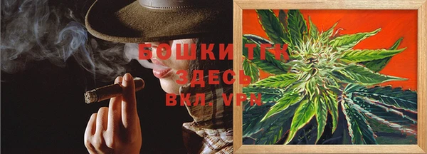 прущие грибы Балабаново
