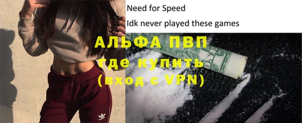 прущие грибы Балабаново